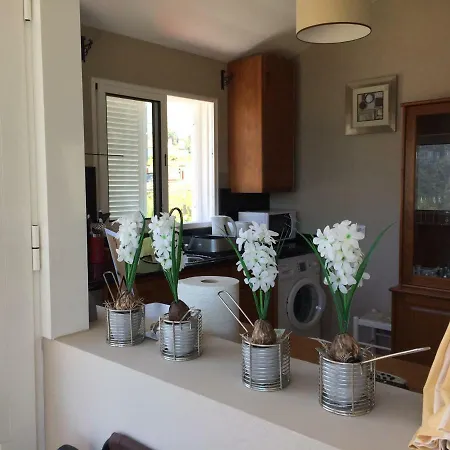 Apartment Landure Penthouse